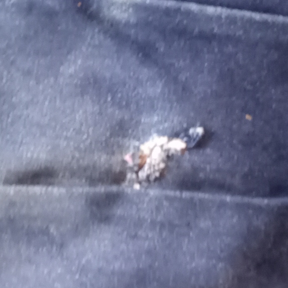 Jeans - Picture 4 of 7